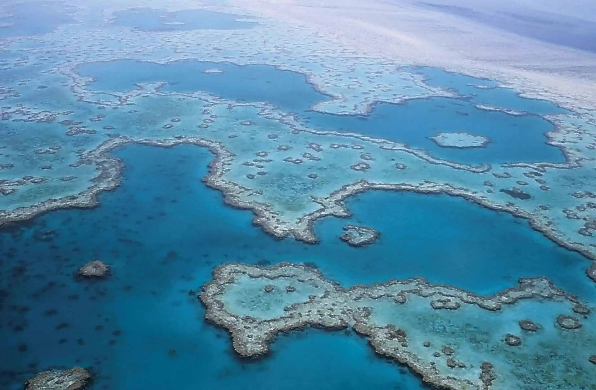 Great Barrier Reef in at the East coast of Australia.