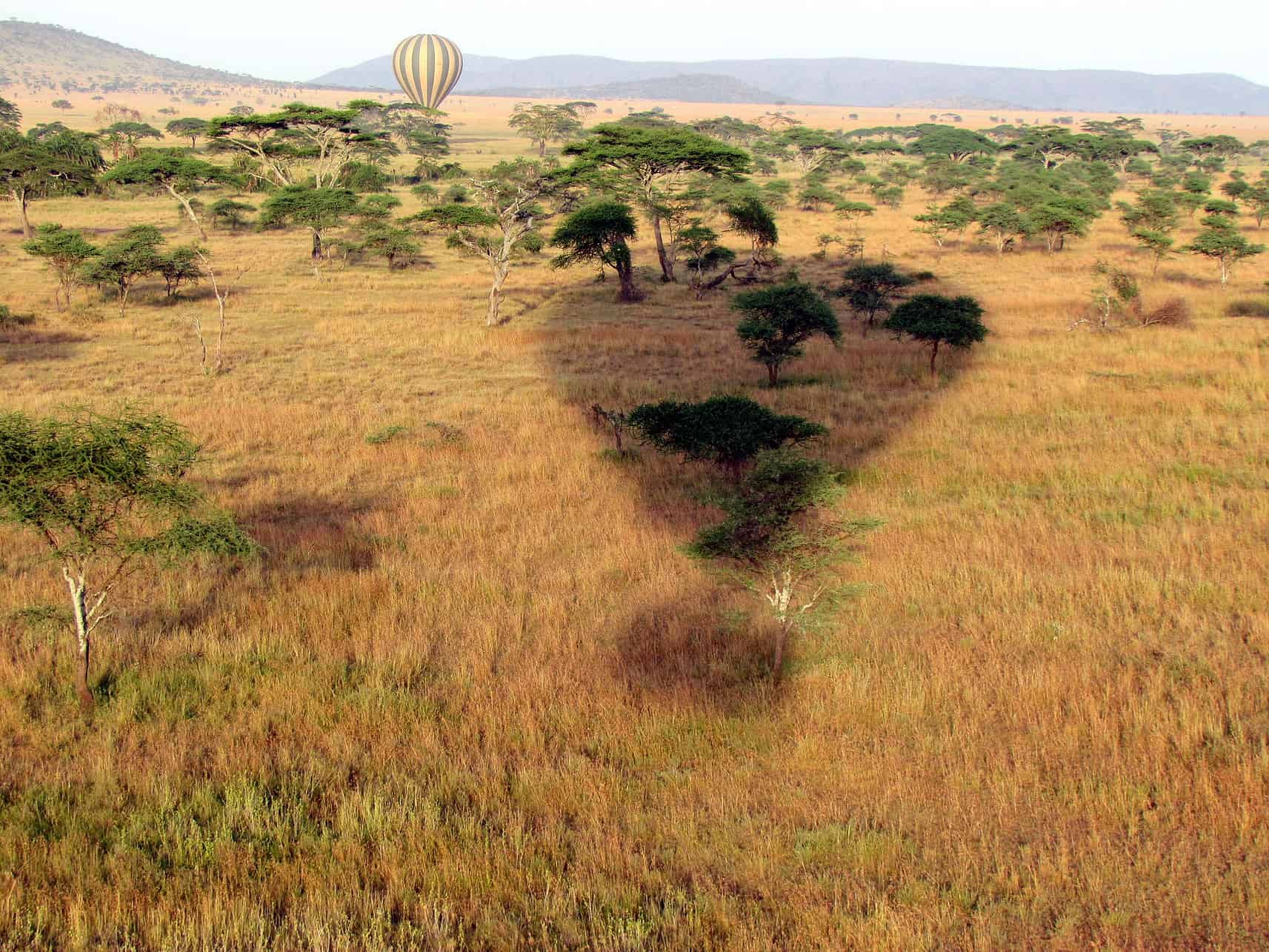 Hot Air Balloon ride in the Serengeti. Photo by David Berkowitz via flickr.
