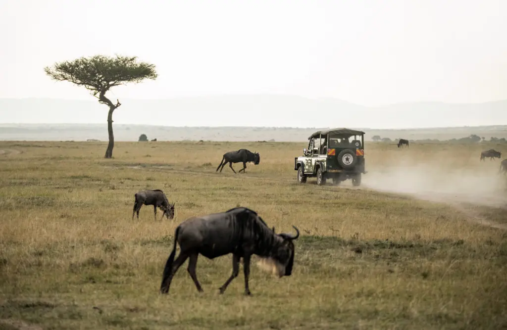 Nairobi National Park, Kenya