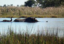 Botswana landscapes