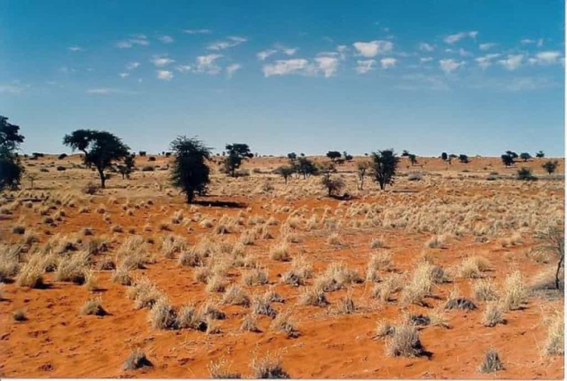 Kalahari in Botswana