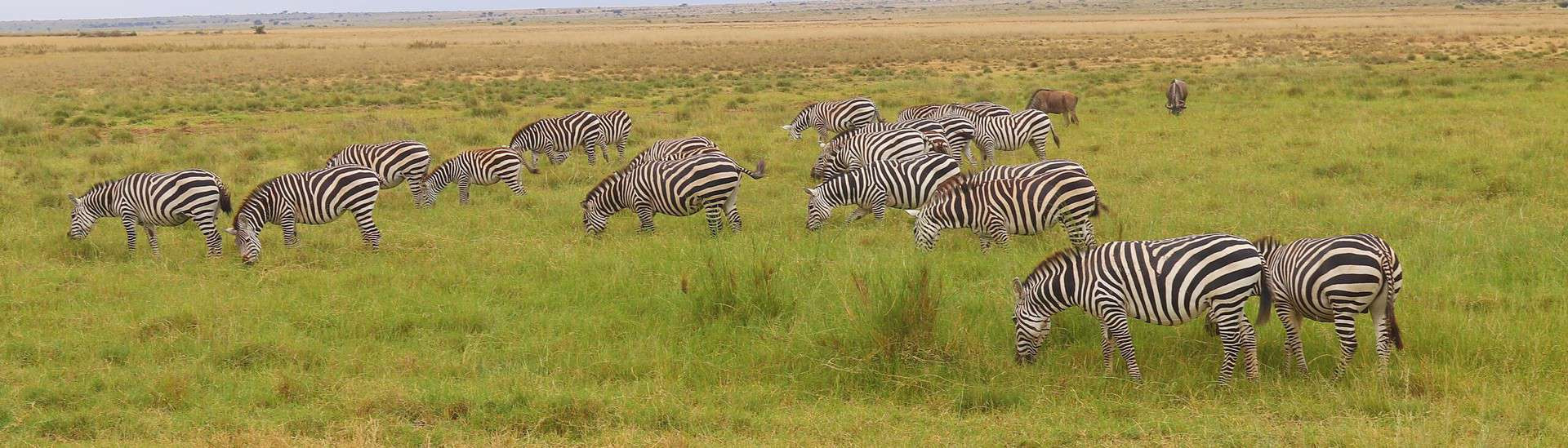 Amboseli National Park - Experiencing the Amboseli National Park of Kenya