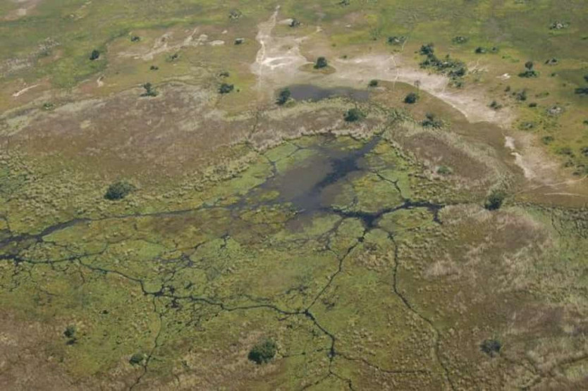 Landscapes in the Okavango Delta, Botswana