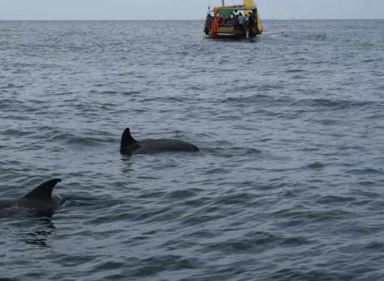 Visiting Wasini Island Kenya