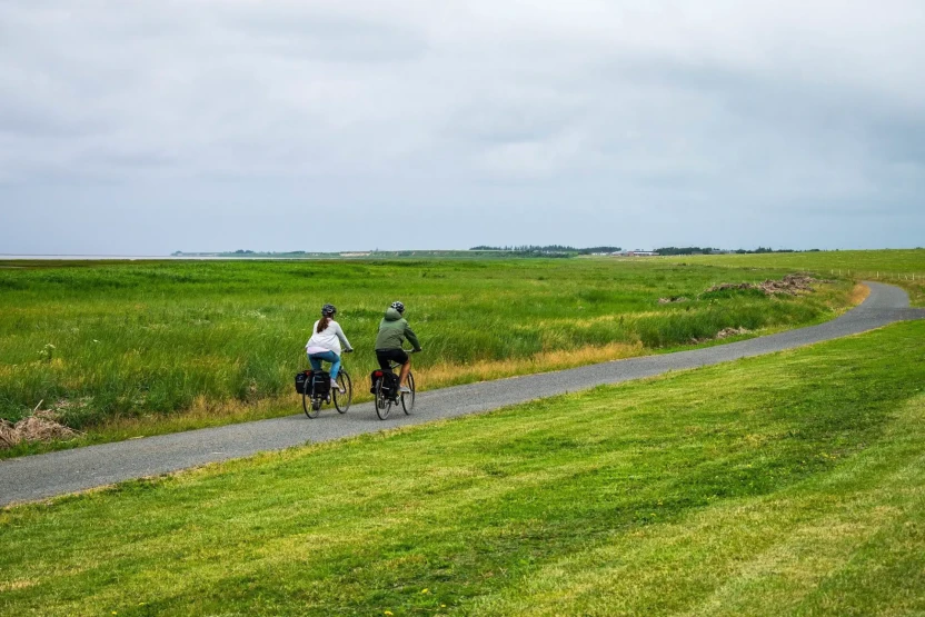 Biking the dikes in Tønder, South Jutland, Denmark.